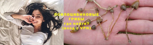 амф Вязники