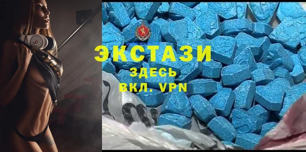 спиды Богданович