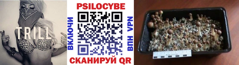 Псилоцибиновые грибы GOLDEN TEACHER  где купить наркоту  Медвежьегорск 